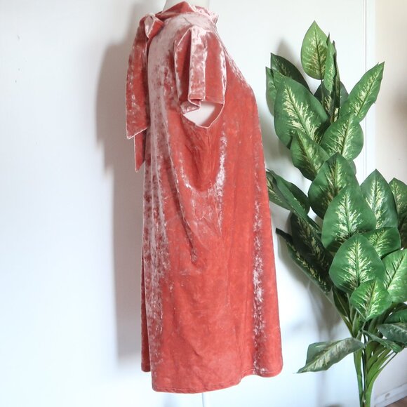 Madewell Blush Pink Crushed Velvet Dress Tie Back Short Sleeve Mock Neck Size L - Picture 10 of 13